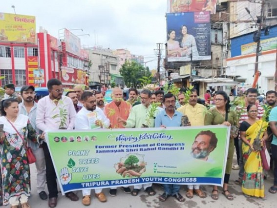 Tripura Congress organized plantation drive, distributed goods on 54th Birthday of Rahul Gandhi Tripura Congress organized plantation drive, distributed goods on 54th Birthday of Rahul Gandhi